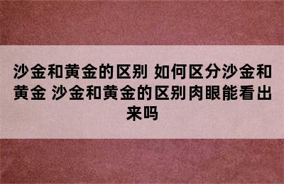 沙金和黄金的区别 如何区分沙金和黄金 沙金和黄金的区别肉眼能看出来吗